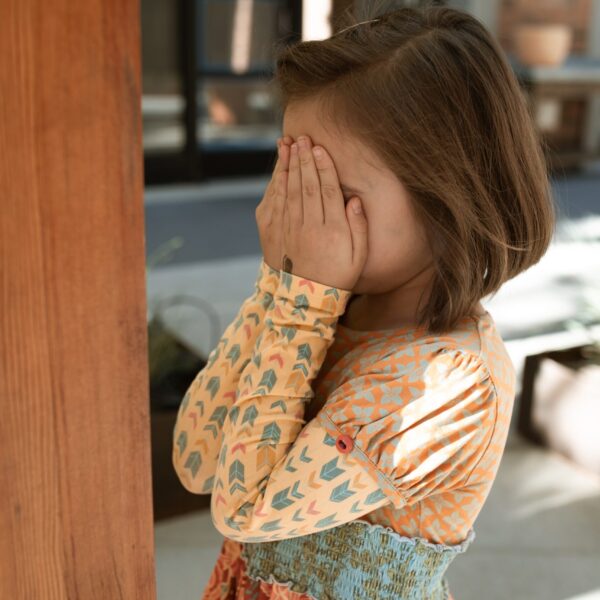 PDA: Current Understanding and Future Research Directions